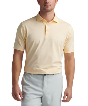 Peter Millar Short Sleeve Jubilee Stripe Polo Knit Shirt