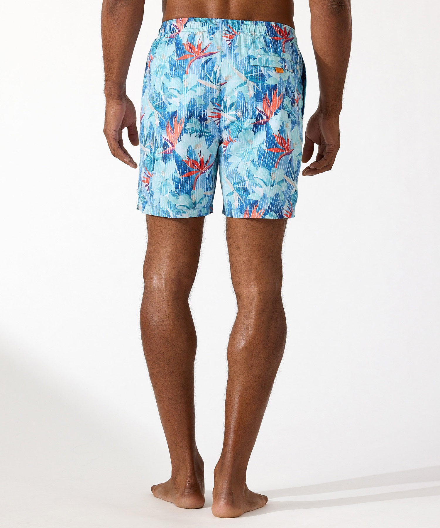 Tommy bahama 2025 swim shorts